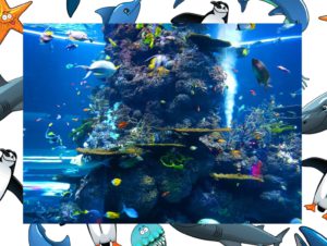 Aquarium poissons activités en famille