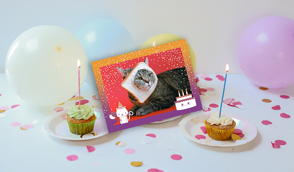 Une carte humoristique pour un anniversaire avec un chat !