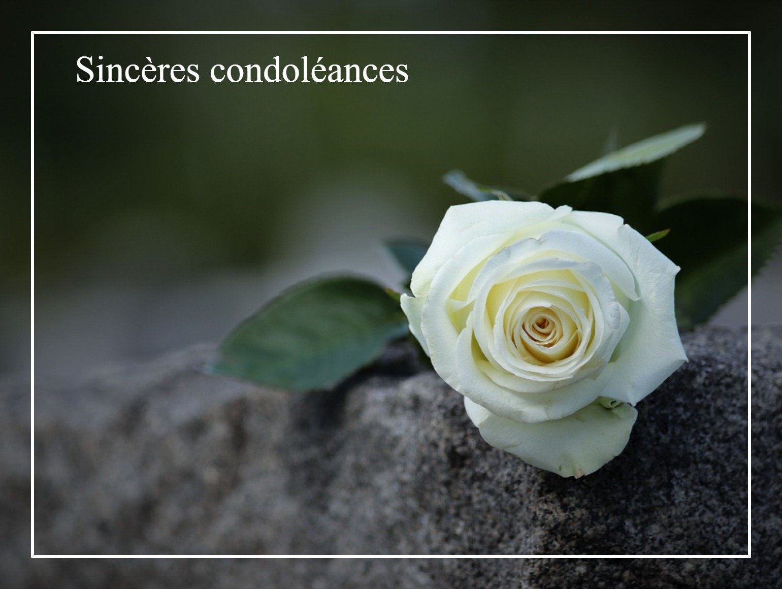 carte condoleances