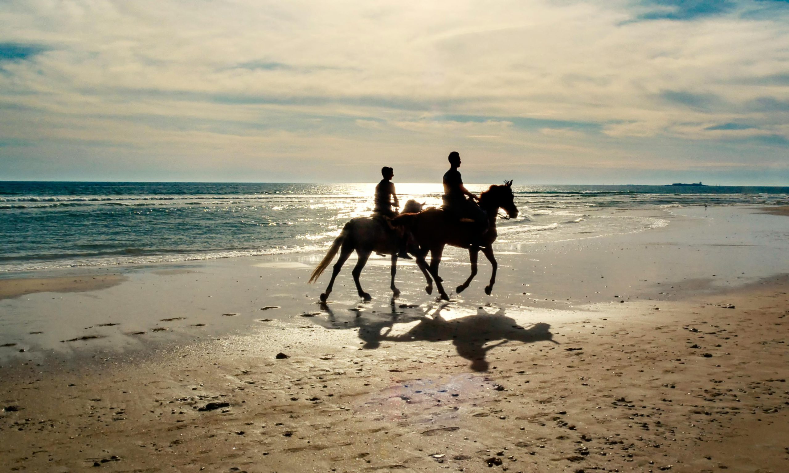 balade cheval plage automne