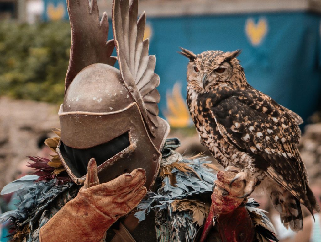 puy du fou, spectacle, famille photo