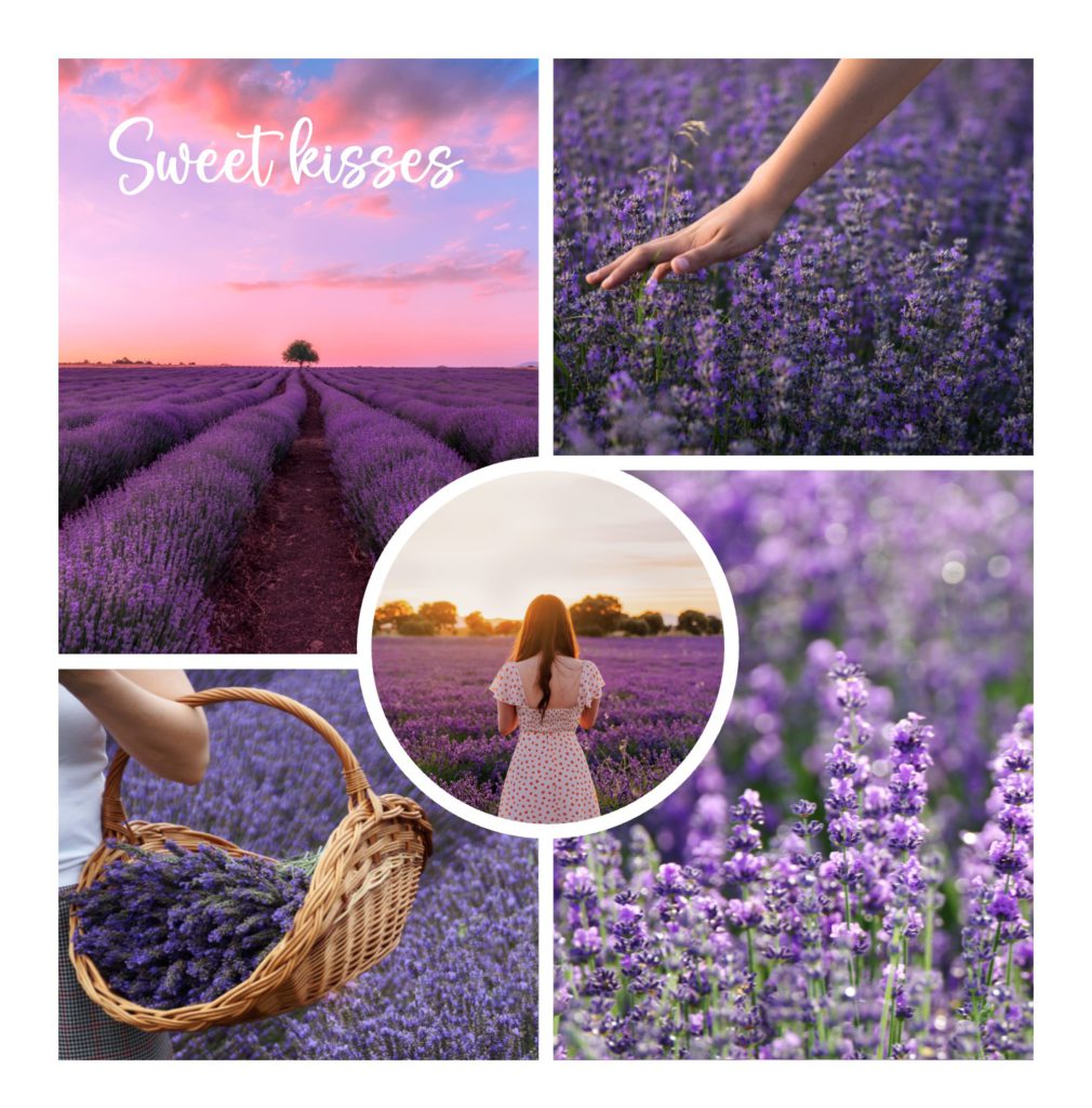 carte postale personnalisée simplycards une fille dans un champ de lilas